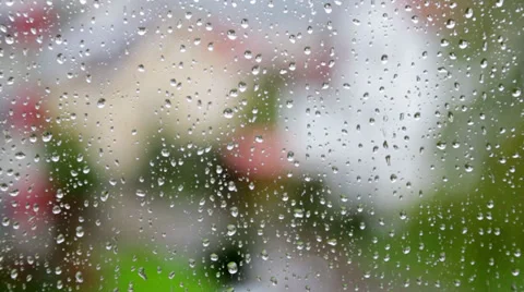 Rain drops window Stock Footage 31497178