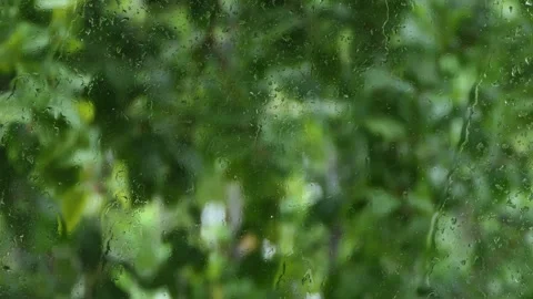Rain drops on window Video stock 242797166