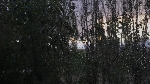 Rain drops on the window Stock Footage 251594160