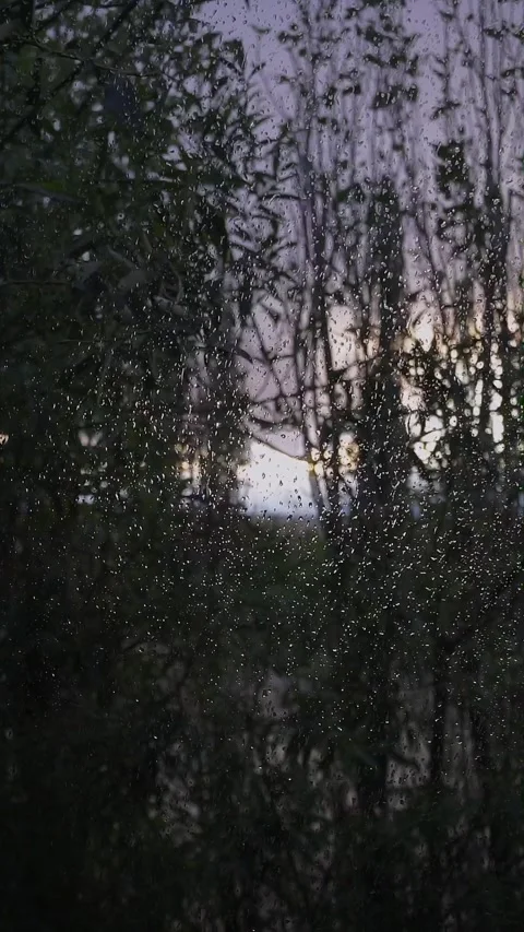 Rain drops on the window Stock Footage 251594162