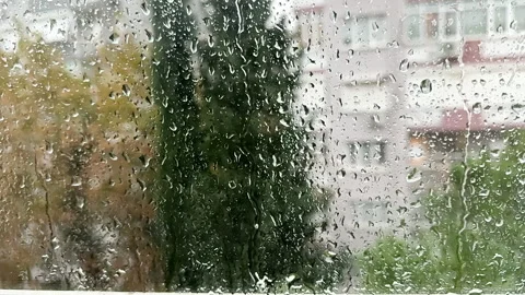 Rain drops on the window Stock Footage 259349277
