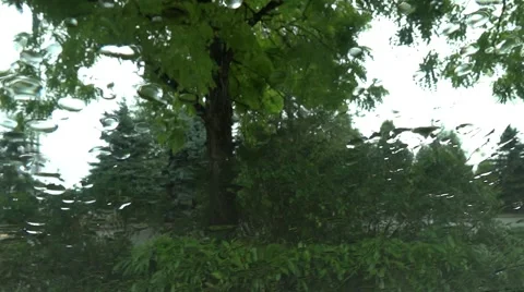 Rain Drops on Window Glass - 01 Stock Footage 52805625