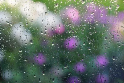 Rain drops on window glass background texture flowers outside the window Stock Photos