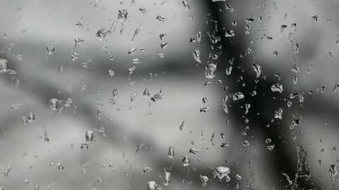 Rain drops on window glass, monochromatic Stock Footage 73222391