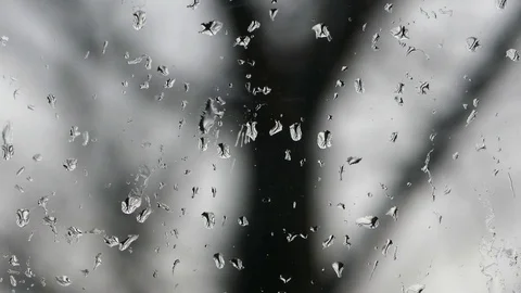Rain drops on window glass, monochromatic Video stock 73231522