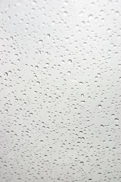 Rain drops on window glass Stock Photos