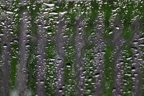 Rain drops on the window glass Stock Photos