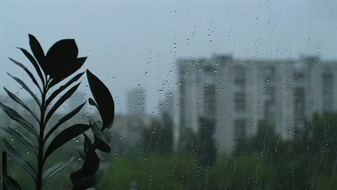 Rain drops on window glass surface. Wet droplets, rainy weather. View from the Stock Footage 251738808