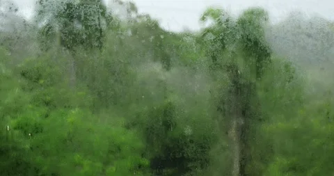 Rain drops on window glasses surface. View on palms trees. Stock Footage 157491387