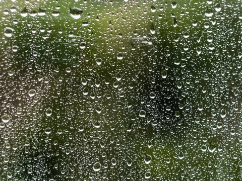 Rain drops on window with green tree in background. Stock Photos