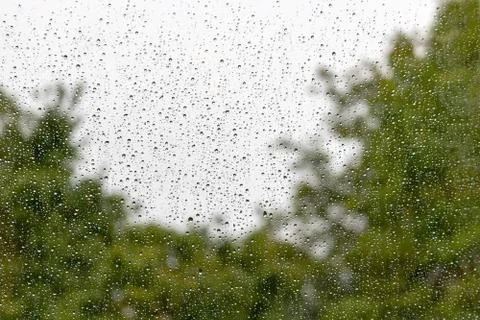 Rain drops on window with green tree in background Foto stock