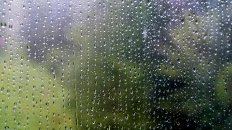 Rain drops on window with green tree in background Stock Photos