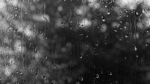 Rain Drops On Window Monochrome Background Stock Footage 79068120