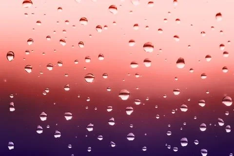 Rain drops on the window Stock Photos