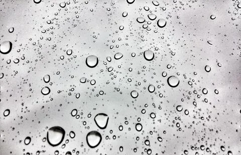 Rain drops on the window Stock Photos