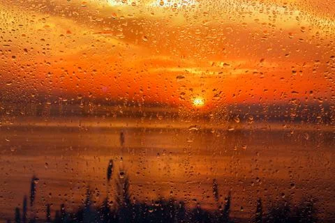 Rain drops on the window Stock Photos