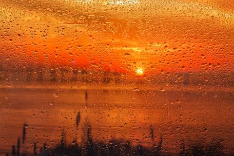 Rain drops on the window Stock Photos