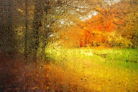 Rain drops on the window Stock Photos