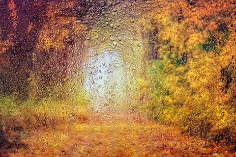 Rain drops on the window Stock Photos