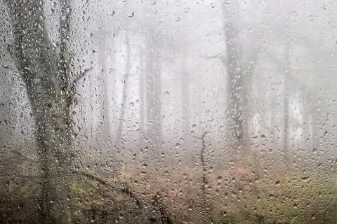 Rain drops on the window Stock Photos