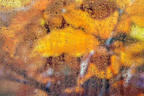 Rain drops on the window Stock Photos