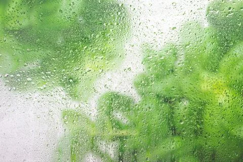 Rain drops on the window Stock Photos