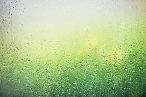 Rain drops on the window Stock Photos