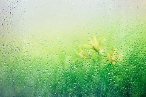 Rain drops on the window Stock Photos