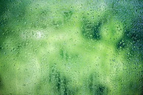 Rain drops on the window Stock Photos