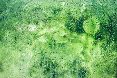 Rain drops on the window Stock Photos