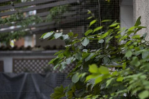 Rain drops on the window Stock-Fotos