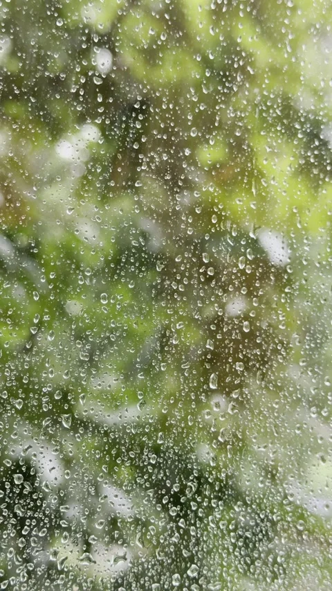 Rain drops on window. Rainy autumn weather. Stock Footage 323372749