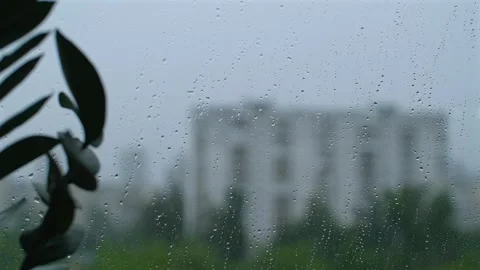 Rain drops on window surface. Wet droplets falling on the glass. View from the Stock Footage 251738294