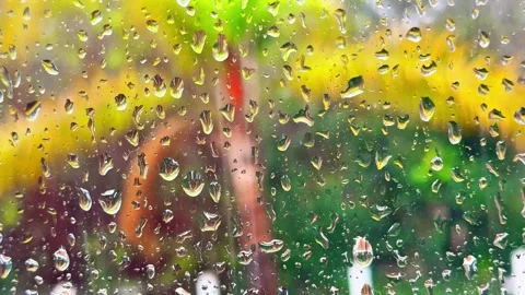 Rain Drops on Window with Tropical Palm Tree View – Relaxing Closeup, 4K Vidéo 303029735
