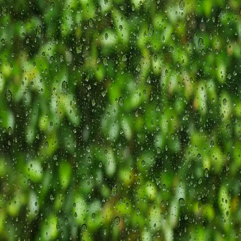 Rain drops on windows 07 Stock Footage 69468517