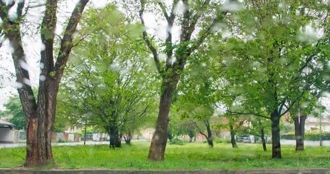 Rain drops on the windscreen of the car Vídeo Stock 107887836