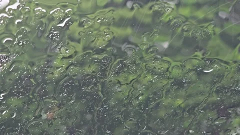 Rain drops on windshield. Video stock 320607392