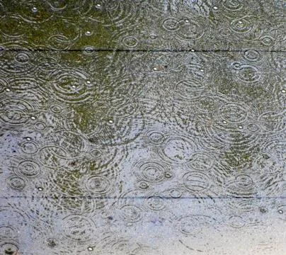 Rain drops in winter Stock Photos