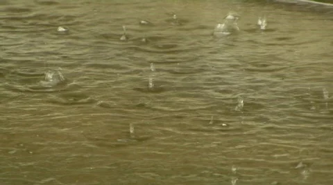 Rain drups Stock Footage 495333