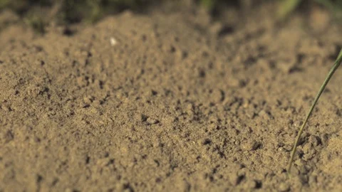 Rain on dry dust ground. Ultra slow motion hispeed 5000fps Video stock 93380418