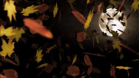 Rain of dry leaves with the moon in the background Stock Footage 303303780