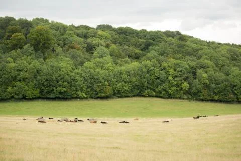 Rain is due 写真素材