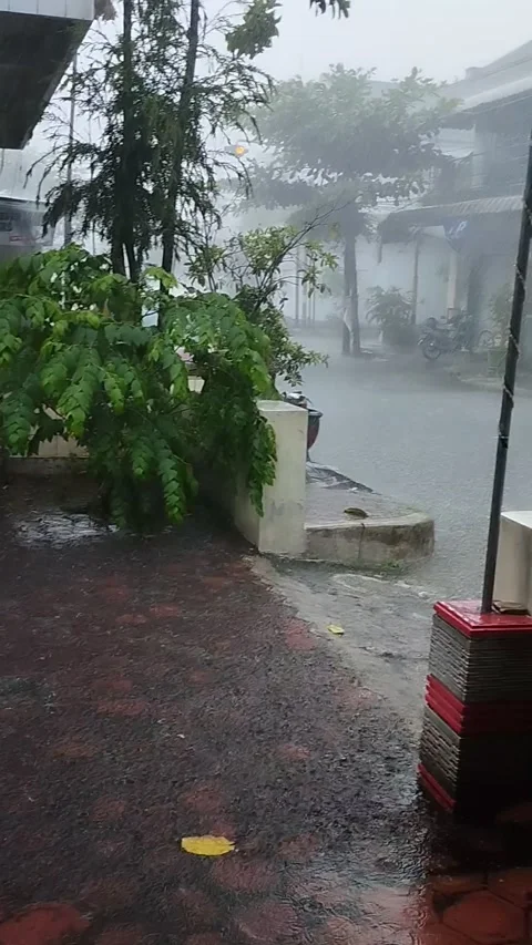 Rain during the day Stock Footage 242343053