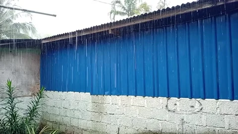 Rain during the day a Stock Footage 308420805
