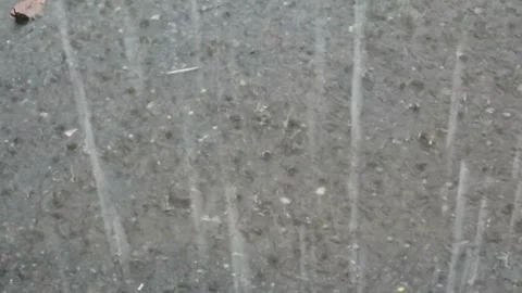 Rain during the day Stock-Footage 330675889