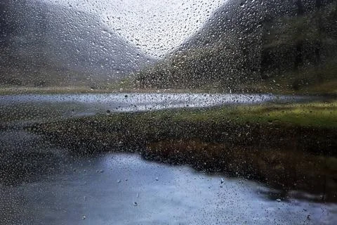 Rain effect nature background. High quality photo rain effect nature backg... Stock Photos