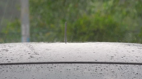 Rain Fall On Car Roof Stock-Footage 47985871