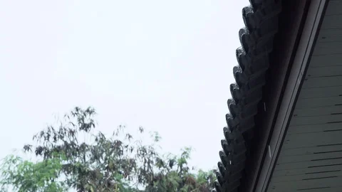 Rain fall down from the roof to the ground Stock Footage 87812572