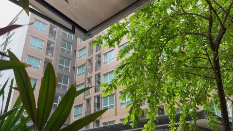 Rain fall during the day and hit the eave and trees. Stock Footage 274872534