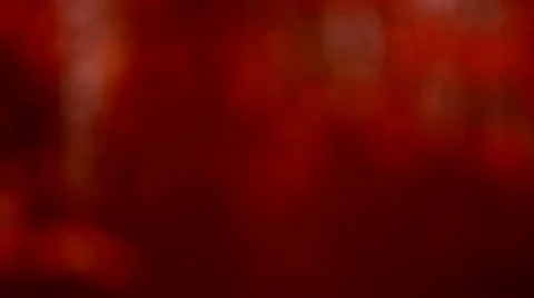 Rain in fall Video stock 12425420